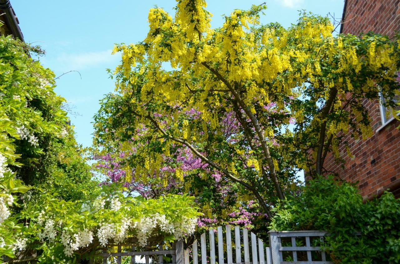 Grove Cottage Γιάρμουθ Εξωτερικό φωτογραφία